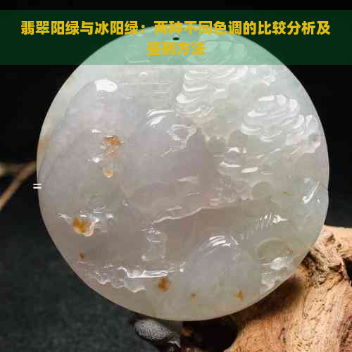 翡翠阳绿与冰阳绿：两种不同色调的比较分析及鉴别方法