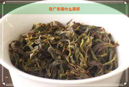 在广东喝什么茶好