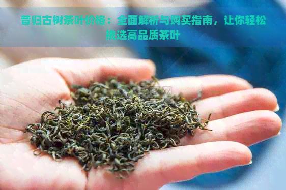 昔归古树茶叶价格：全面解析与购买指南，让你轻松挑选高品质茶叶