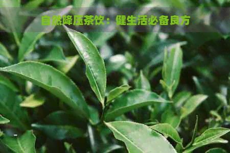 自然降压茶饮：健生活必备良方