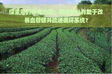 探索茶的神奇力量：哪些茶叶有助于改善血管健并疏通循环系统？