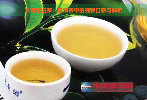 云南昔归茶：普洱茶中的独特口感与解析