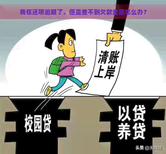 我在还呗逾期了，但是查不到欠款金额怎么办？