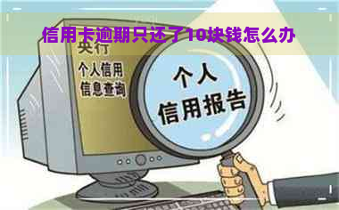 信用卡逾期只还了10块钱怎么办