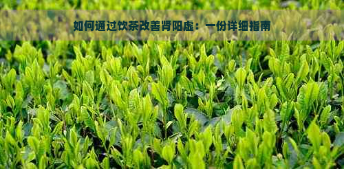 如何通过饮茶改善肾阳虚：一份详细指南