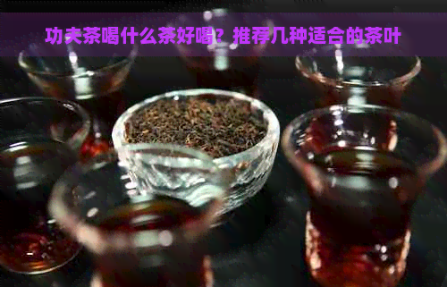 功夫茶喝什么茶好喝？推荐几种适合的茶叶