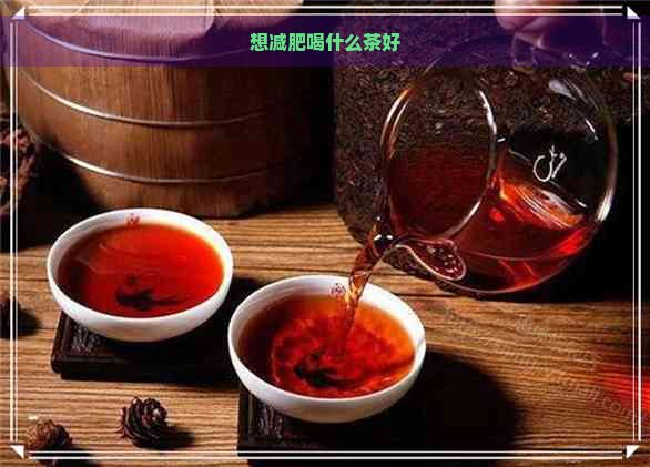 想减肥喝什么茶好