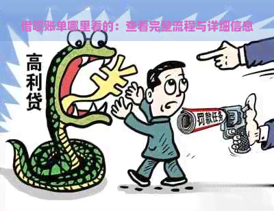 借呗账单哪里看的：查看完整流程与详细信息