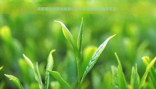 缓解咽炎的茶饮推荐：哪些茶能有效缓咽喉不适？