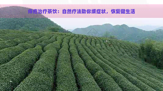 痔疮治疗茶饮：自然疗法助你缓症状，恢复健生活