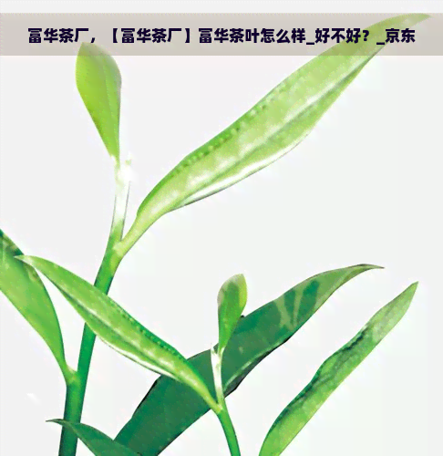 富华茶厂，【富华茶厂】富华茶叶怎么样_好不好？_京东