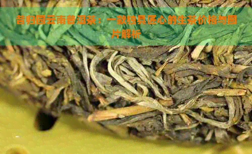 昔归园云南普洱茶：一款独具匠心的生茶价格与图片解析