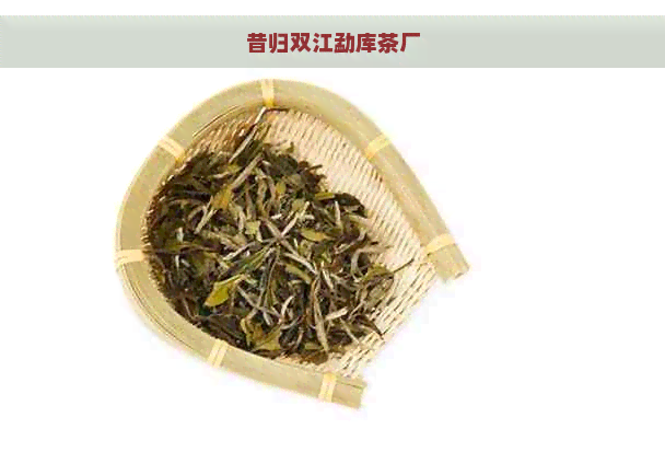 昔归双江勐库茶厂