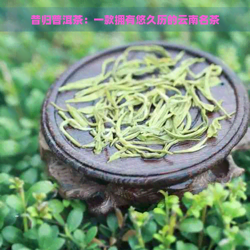 昔归普洱茶：一款拥有悠久历的云南名茶