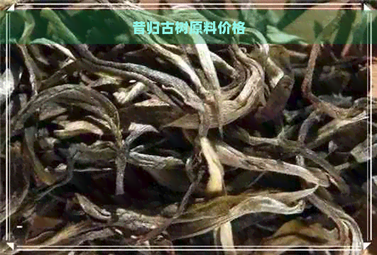 昔归古树原料价格