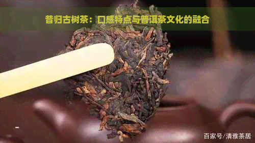 昔归古树茶：口感特点与普洱茶文化的融合