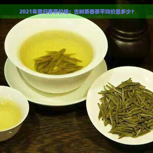 2021年昔归春茶价格：古树茶春茶平均价是多少？