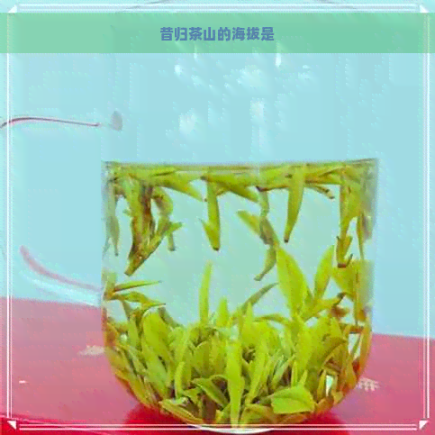 昔归茶山的海拔是