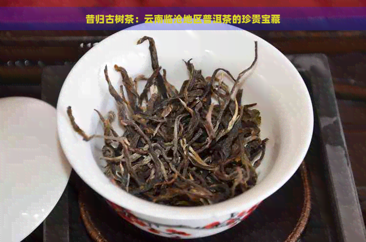 昔归古树茶：云南临沧地区普洱茶的珍贵宝藏