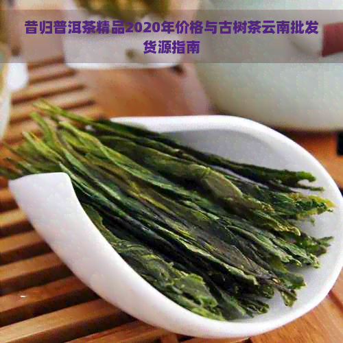 昔归普洱茶精品2020年价格与古树茶云南批发货源指南