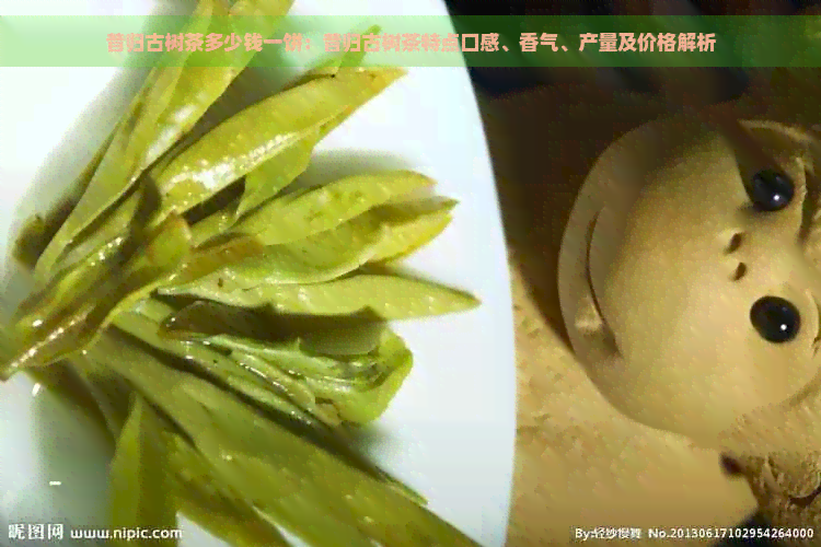 昔归古树茶多少钱一饼：昔归古树茶特点口感、香气、产量及价格解析