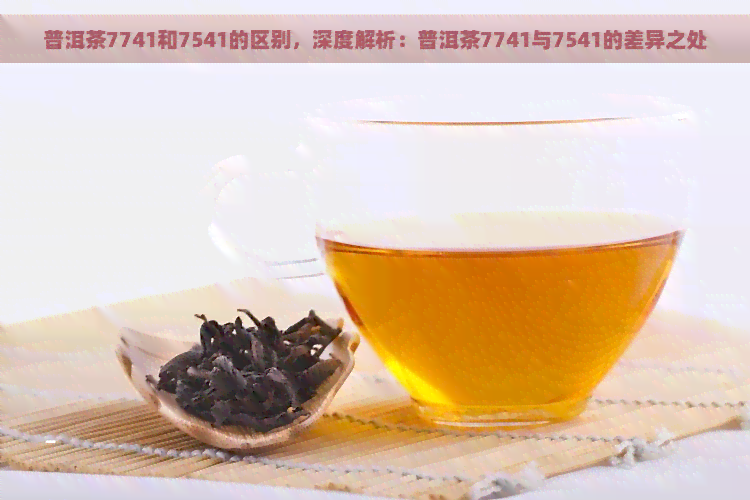 普洱茶7741和7541的区别，深度解析：普洱茶7741与7541的差异之处