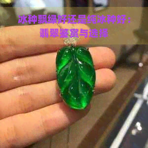 冰种飘绿好还是纯冰种好：翡翠鉴赏与选择