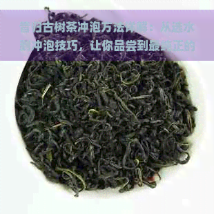 昔归古树茶冲泡方法详解：从选水到冲泡技巧，让你品尝到最纯正的古树茶滋味