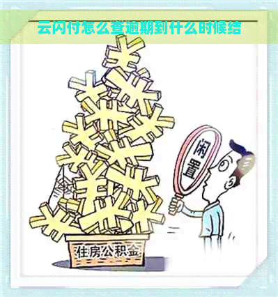 云闪付怎么查逾期到什么时候结