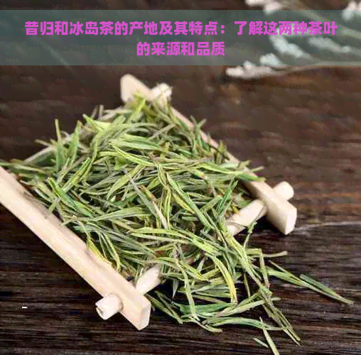 昔归和冰岛茶的产地及其特点：了解这两种茶叶的来源和品质