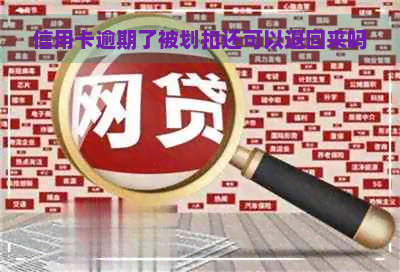 信用卡逾期了被划扣还可以退回来吗