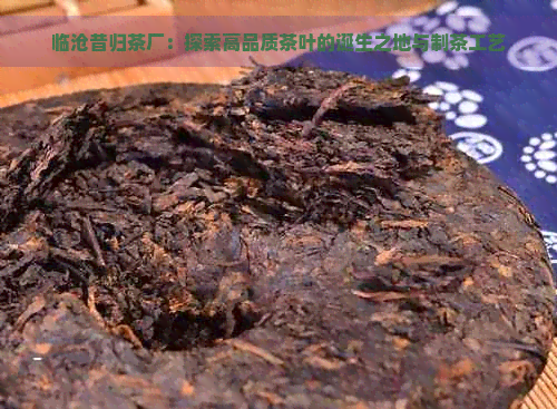 临沧昔归茶厂：探索高品质茶叶的诞生之地与制茶工艺