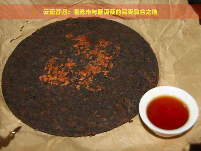 云南昔归：临沧市与普洱茶的完美融合之地