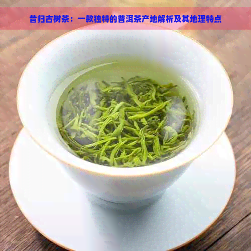 昔归古树茶：一款独特的普洱茶产地解析及其地理特点