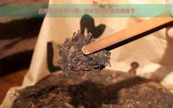 云南昔归茶排行榜：京东推荐的普洱茶牌子