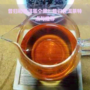 昔归和普洱哪个贵？昔归普洱茶特点与推荐