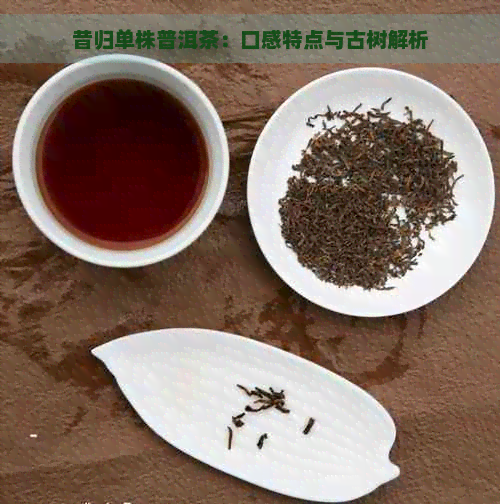 昔归单株普洱茶：口感特点与古树解析