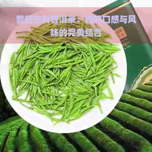 昔归古树普洱茶：独特口感与风味的完美结合