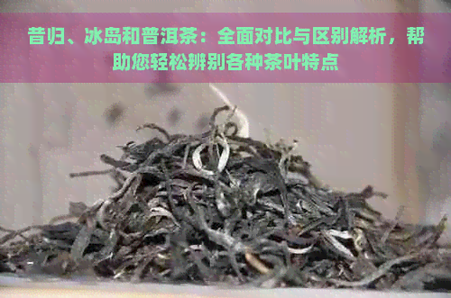 昔归、冰岛和普洱茶：全面对比与区别解析，帮助您轻松辨别各种茶叶特点