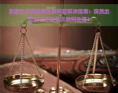 美团生活费逾期还款问题解决指南：突然出现的已还款显示如何处理？