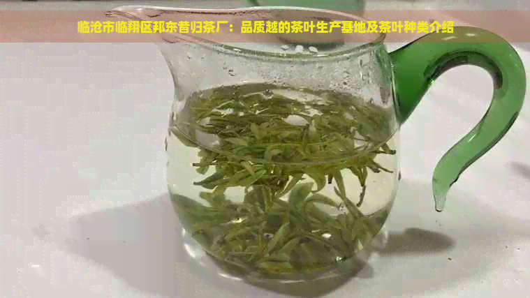 临沧市临翔区邦东昔归茶厂：品质越的茶叶生产基地及茶叶种类介绍