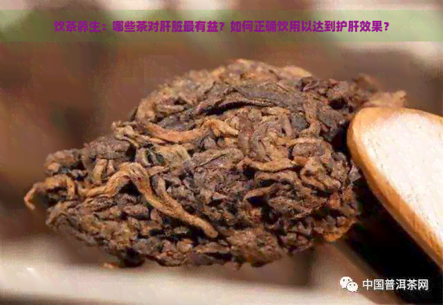 饮茶养生：哪些茶对肝脏最有益？如何正确饮用以达到护肝效果？