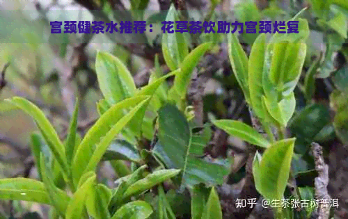 宫颈健茶水推荐：花草茶饮助力宫颈烂复