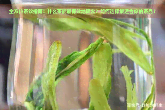 全方位茶饮指南：什么茶能最有效地降火？如何选择最适合你的茶品？