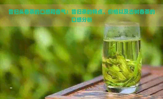 昔归头春茶的口感和香气：昔归茶的特点、价格以及古树春茶的口感分析