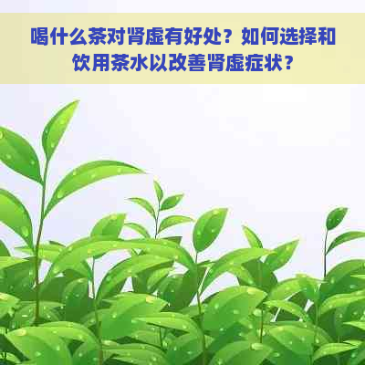 喝什么茶对肾虚有好处？如何选择和饮用茶水以改善肾虚症状？