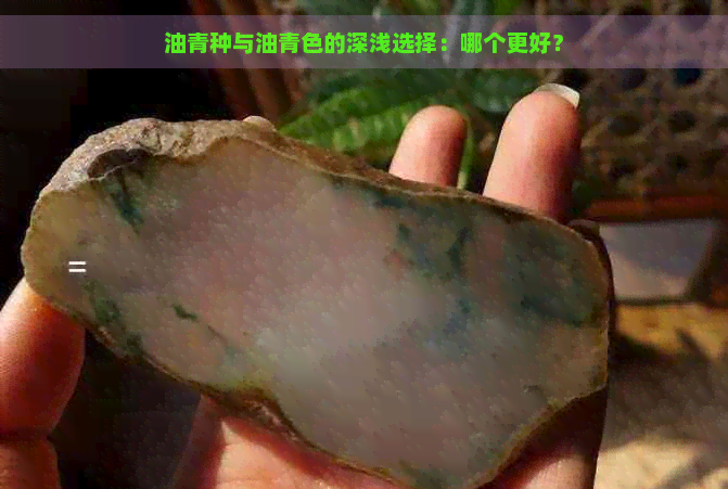 油青种与油青色的深浅选择：哪个更好？