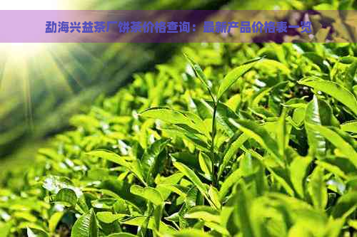 勐海兴益茶厂饼茶价格查询：最新产品价格表一览