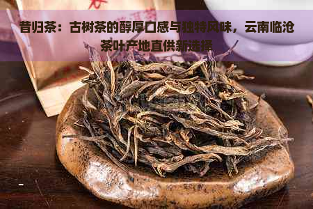 昔归茶：古树茶的醇厚口感与独特风味，云南临沧茶叶产地直供新选择