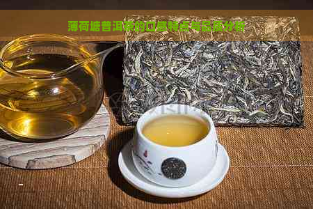 薄荷塘普洱茶的口感特点与品质分析